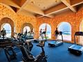 Hotel Albatros Citadel - fitness