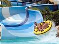 Hotel Titanic Resort & Aqua Park: fotografie vybavení exteriérů a interiérů ubytování.