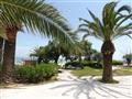 Rezidencia Seaside - okolie - zájazd vlastnou dopravou  - Taliansko - San Benedetto del Tronto - Palmová riviéra