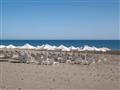 Dimitrios Village Beach - pláž - letecký zájazd  - Kréta, Rethymno