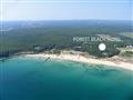 Forest Beach