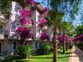 Club Dizalya Hotel - hotel - letecký zájazd  - Turecko, Konakli