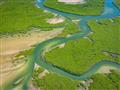 Letecký záber na mangrovníkové lesy a vodné kanály v Saloum Delta National Park 