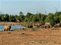 Autentický zážitok z africkej prírody v sprievode skúsených rangerov, to je Walking safari v Eswatini (bývalé Svazijsko)