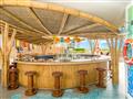 Bikini Bottom Bar™