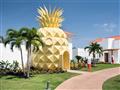 The Pineapple Villa