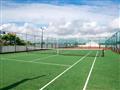 Tenis