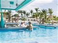 Swim Up Bar