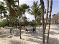 Cocos Bar