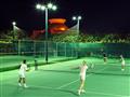 Tenis