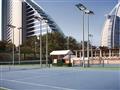 Tenis