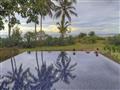 Presidential Pool Villa