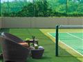 Tenis
