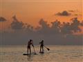 Paddleboard