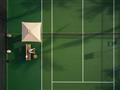 Tenis