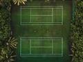 Tenis