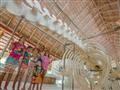 Eco Centrum