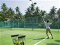 Tenis