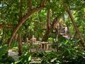Restaurant in the jungle
