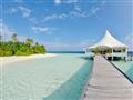 Palm Bar