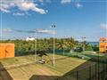 Tenis