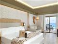 Jr Suite Swim Up Elite Club