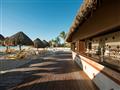 Beach Bar