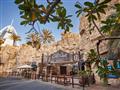 Wild Wadi Water Park