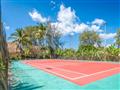 Tenis