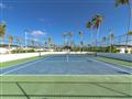 Tenis