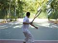 Tenis