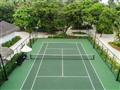 Tenis
