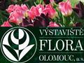 Flora Olomouc - leto 2020
