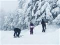 Terchovský lyžiarsky výcvik