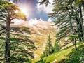 Libanon - krajina cédrových stromov