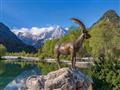 Dvoudenní výlet za poznáním Julských Alp