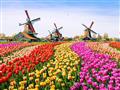 Dovolenka  Kvetinové Holandsko a Belgicko