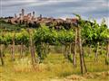 , autobusový poznávací zájazd, Vínna cesta po Toskánsku, San Gimignano, vinice