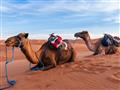 , Letecký poznávací zájazd, Maroko, púšť