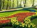 , autobusový poznávací zájazd, Kvetinové Holandsko a Belgicko, Keukenhof, kvetinové záhony