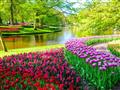 , autobusový poznávací zájazd, Kvetinové Holandsko a Belgicko, Keukenhof, kvetinové záhony