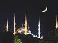 Istanbul De Luxe