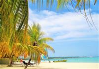 Západné pobrežie USA a relax na Jamajke - 4