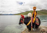 Tibet, Nepál