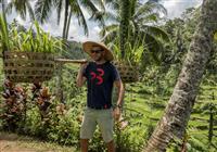 Austrália a relax na exotickej pláži na Bali