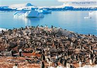Antarktída loďou - plavba cez Drakeov prieliv