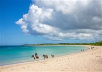 Austrália a relax na exotickej pláži na Fiji