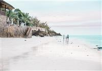 Tulia Zanzibar Unique Beach Resort - 3
