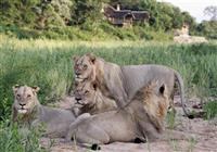 Jock Safari Lodge ****, Kruger National park